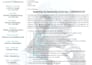 professional ms word formatting editing and document design